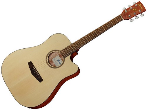 Ibanez pf10ce opn chitarra - opn,
